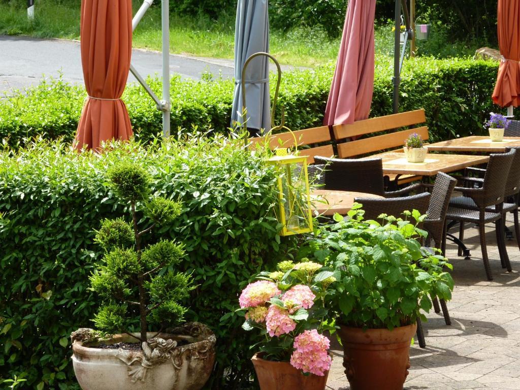 Hotel Waldschloesschen Plein Ngoại thất bức ảnh